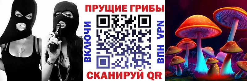 Галлюциногенные грибы MAGIC MUSHROOMS  Пудож 