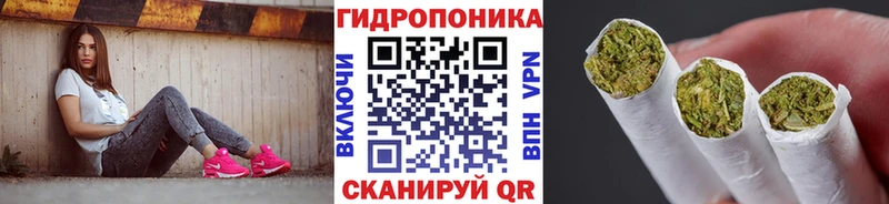 Бошки Шишки Amnesia  хочу   Пудож 